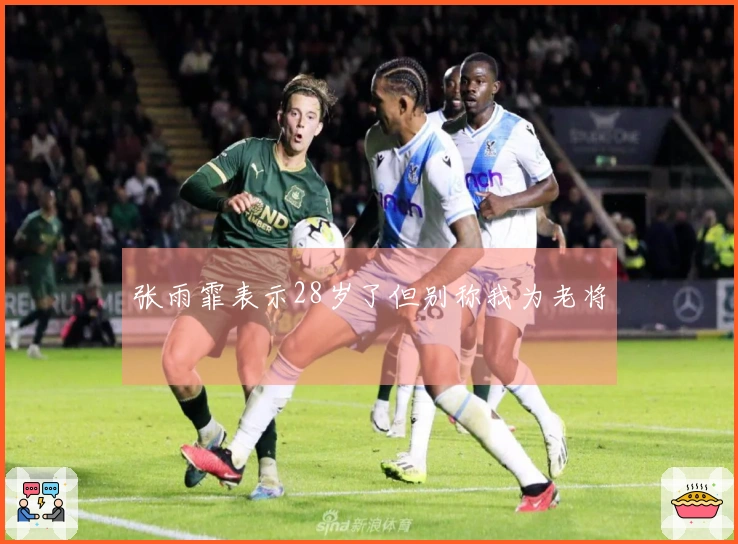 张雨霏表示28岁了但别称我为老将