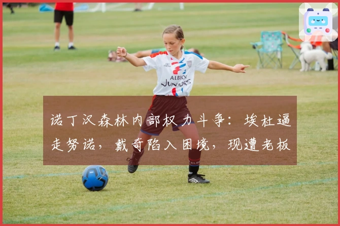 诺丁汉森林内部权力斗争：埃杜逼走努诺，戴奇陷入困境，现遭老板封杀