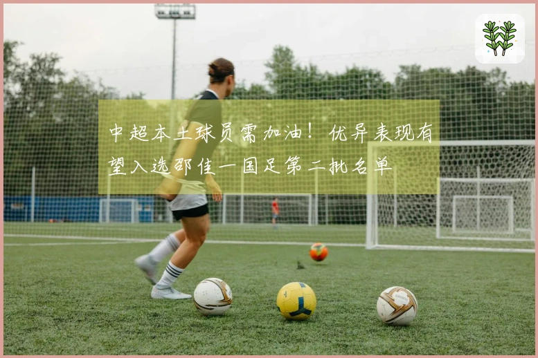 中超本土球员需加油！优异表现有望入选邵佳一国足第二批名单