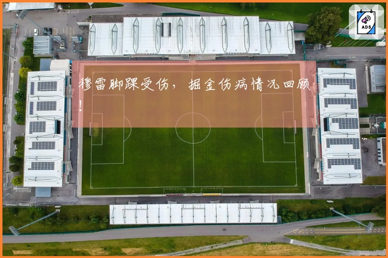 穆雷脚踝受伤，掘金伤病情况回顾！