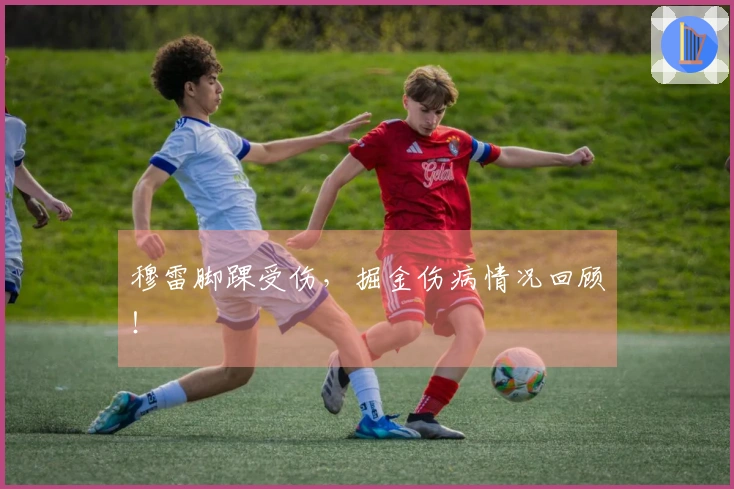 穆雷脚踝受伤，掘金伤病情况回顾！